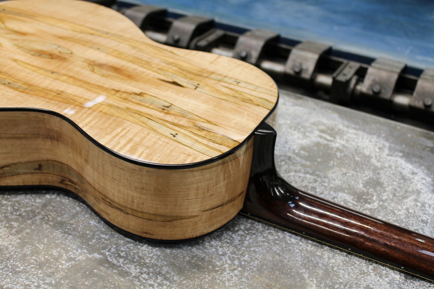 Leddington Guitars - Western Red Cedar, Ambrosia Maple Shade Top Model-1