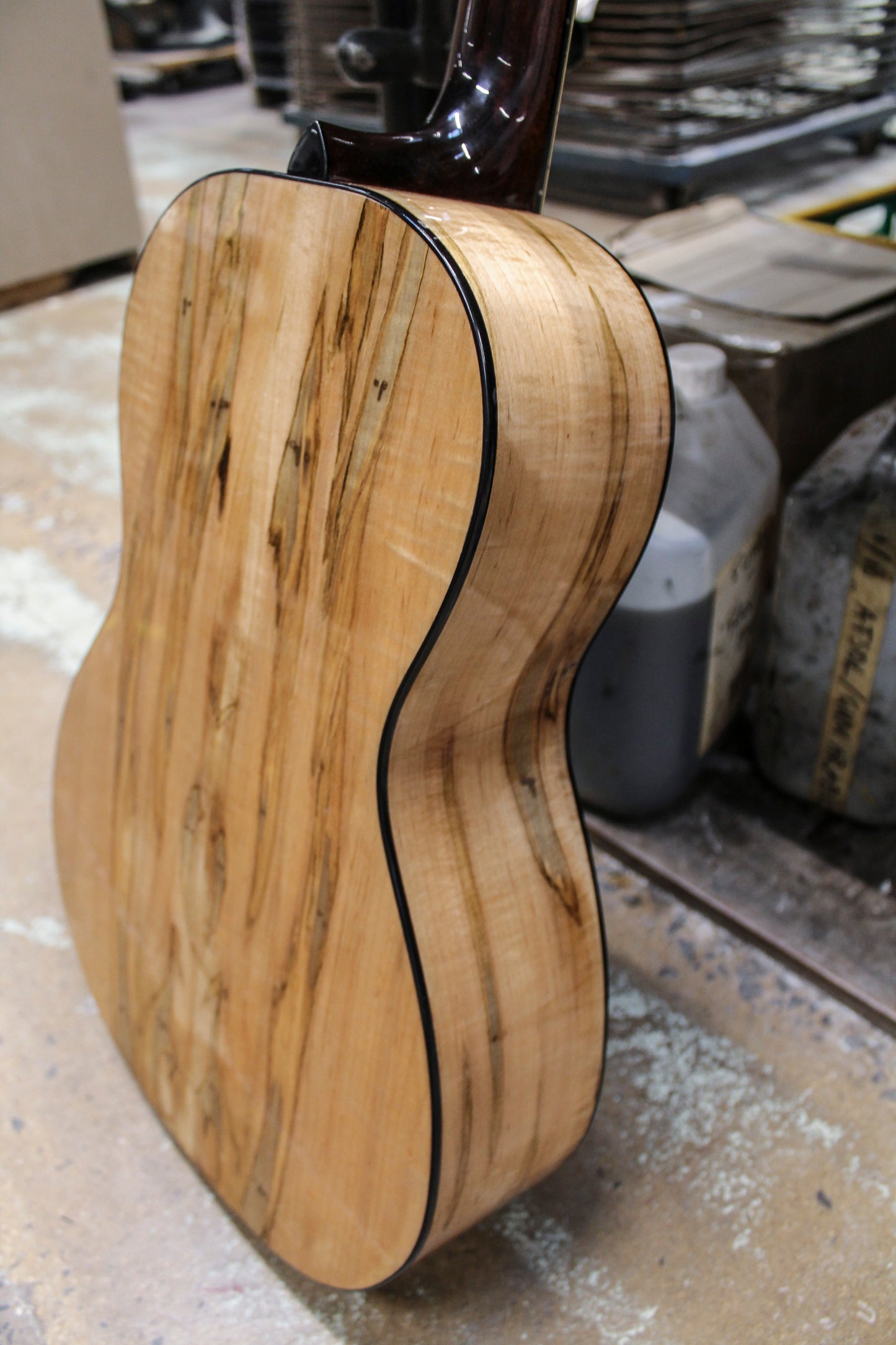 Leddington Guitars - Western Red Cedar, Ambrosia Maple Shade Top Model-1