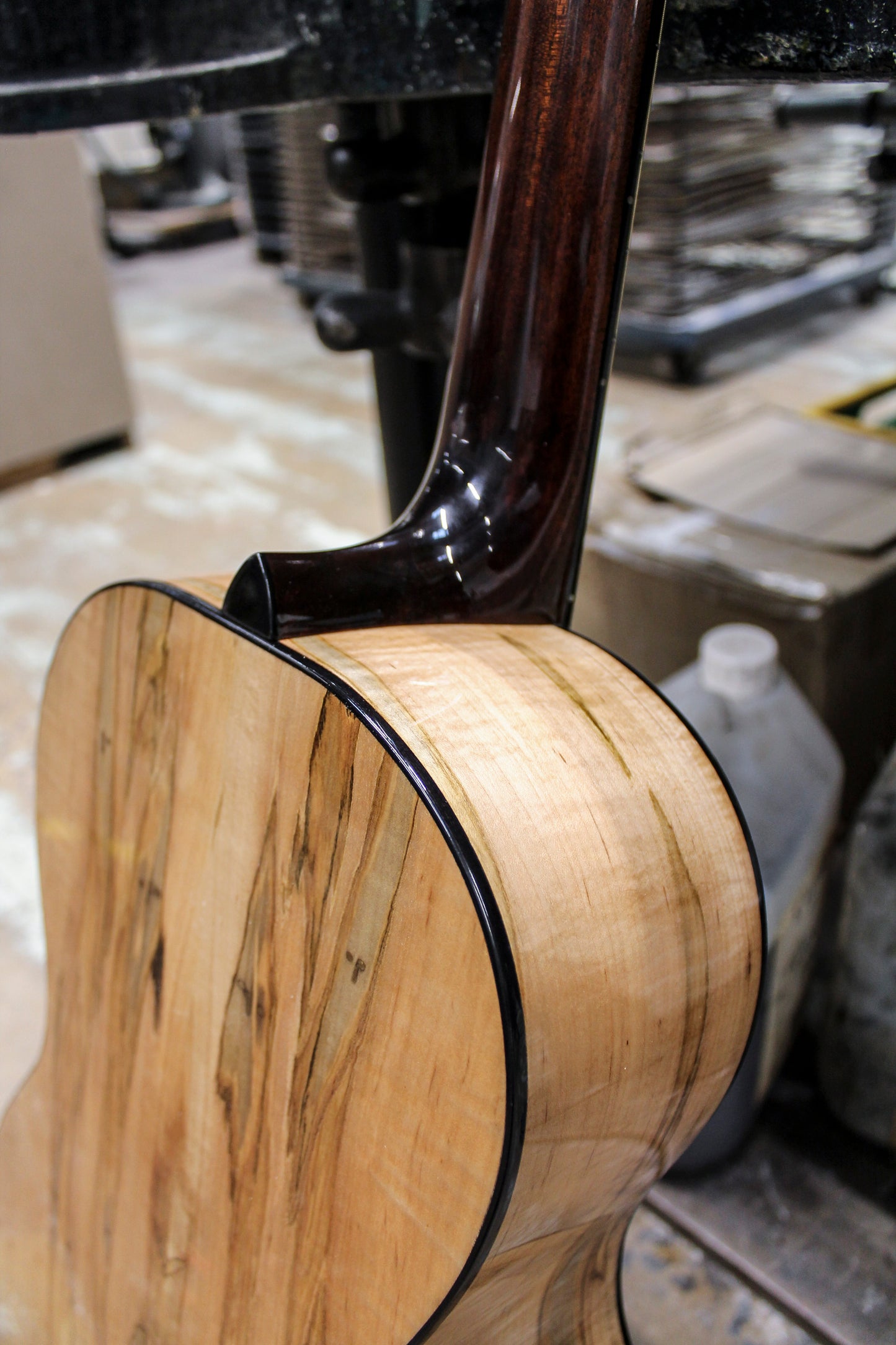 Leddington Guitars - Western Red Cedar, Ambrosia Maple Shade Top Model-1